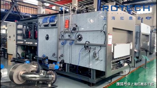 冻干机在制药与食品领域的差异及箱包代理销售模式解析